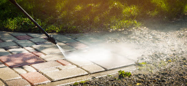 Animal Enclosure Cleaning in Matawan, NJ